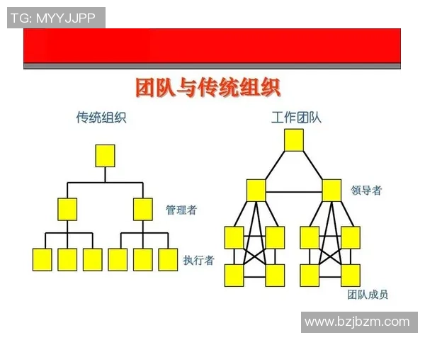 北京羽毛球队在世界锦标赛中的团队协作表现分析与点评