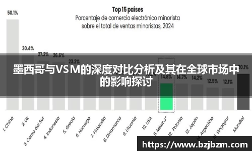 墨西哥与VSM的深度对比分析及其在全球市场中的影响探讨