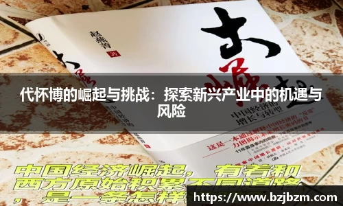 代怀博的崛起与挑战：探索新兴产业中的机遇与风险